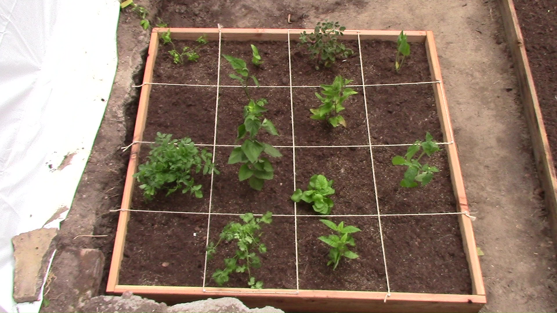Gärtnern im Quadrat Hortulan