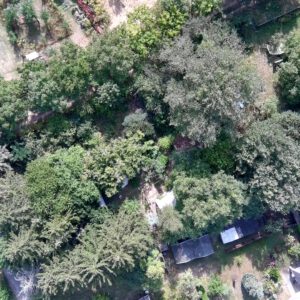 Führung durch den Waldgarten
