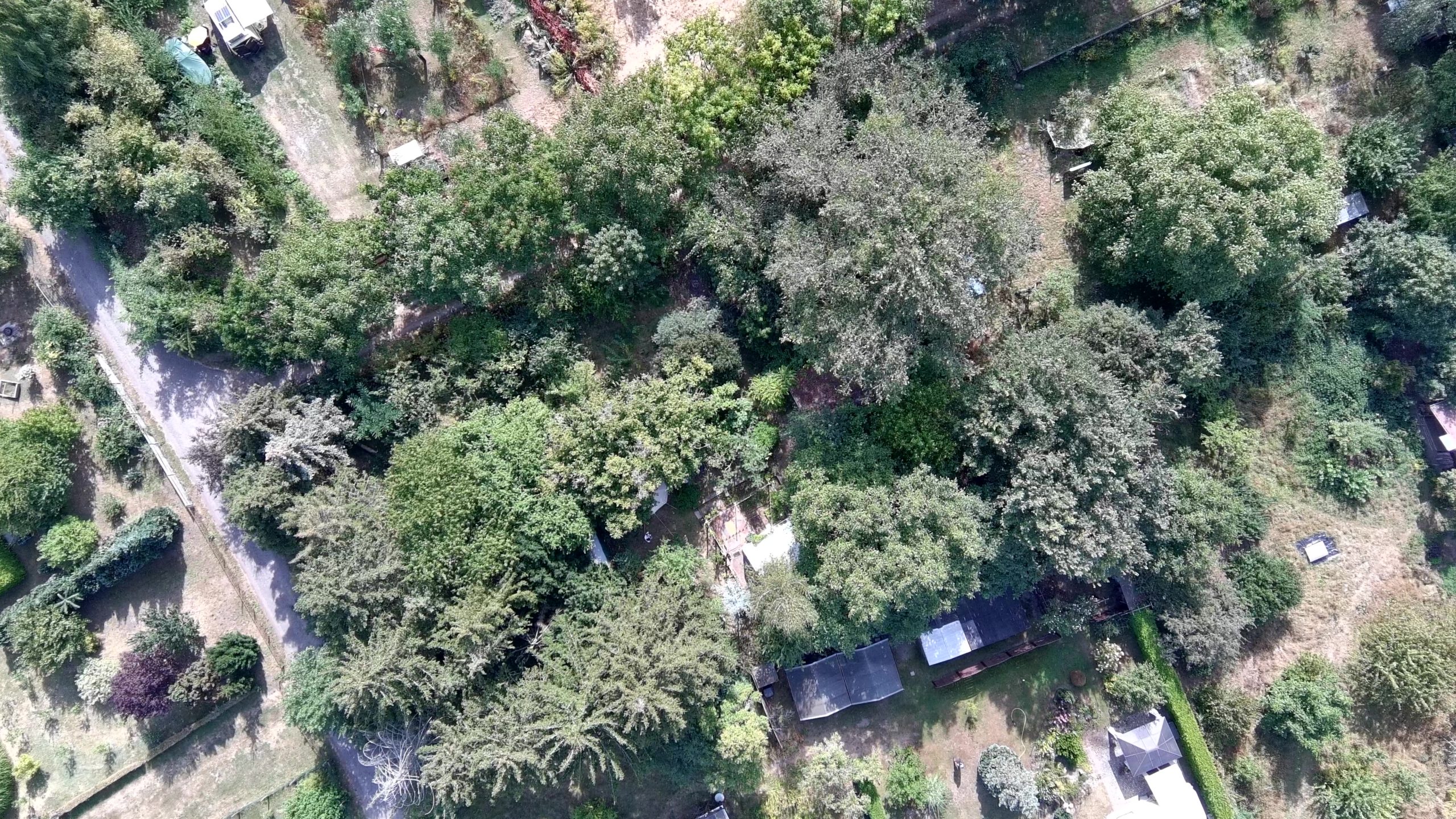 Führung durch den Waldgarten